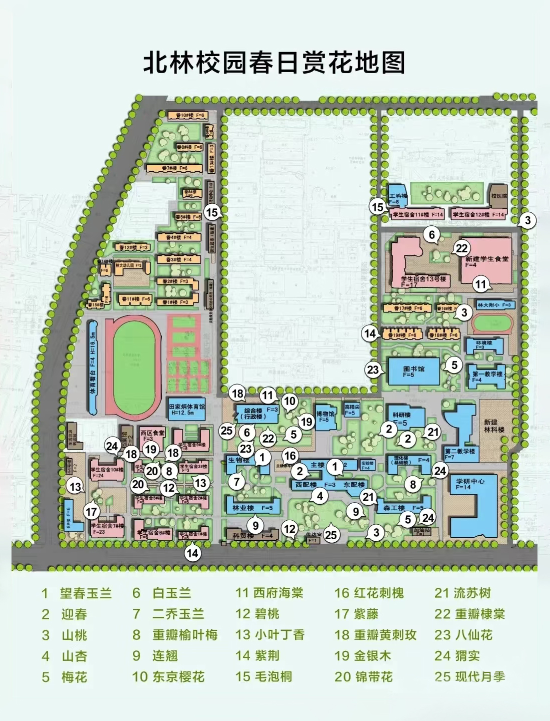 北京林业大学-春日赏花地图